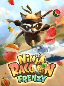 Ninja-Raccoon-Frenzy-225x300